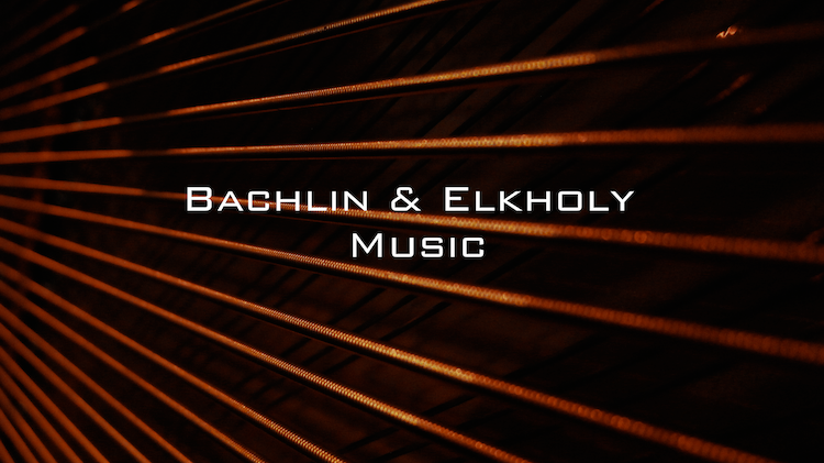 (c) Bachlin-elkholy.com